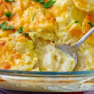 Potato Gratin