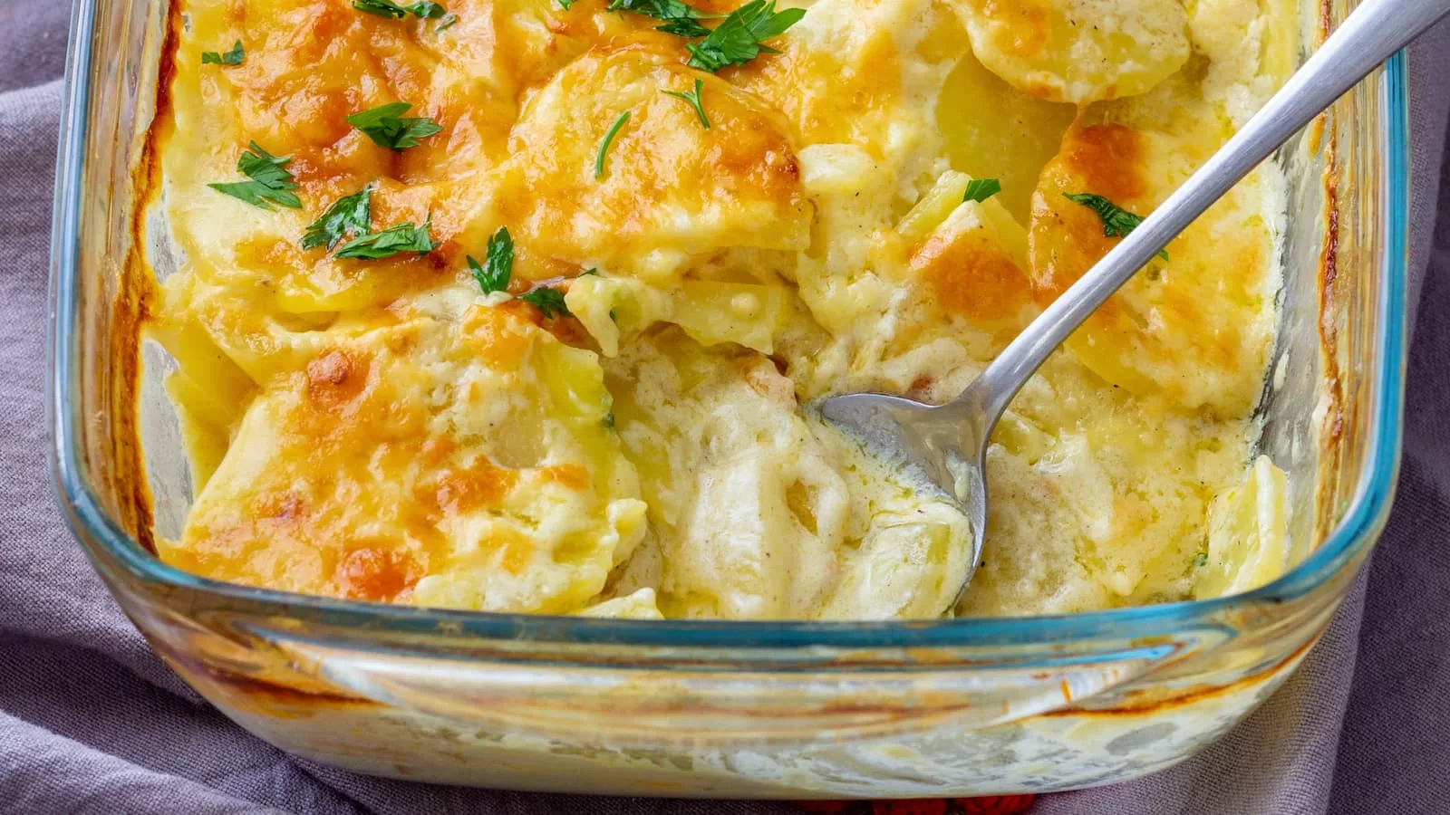 Potato Gratin