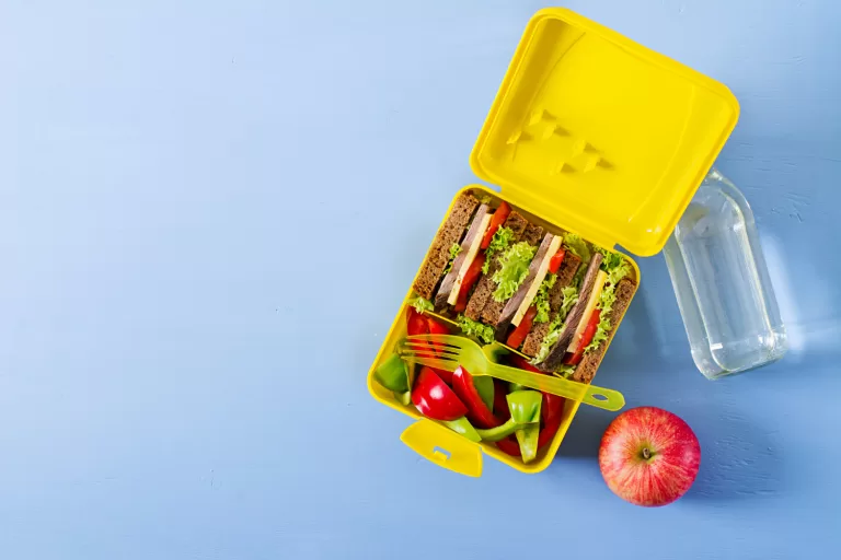 Fill the School Lunch Box like a Pro