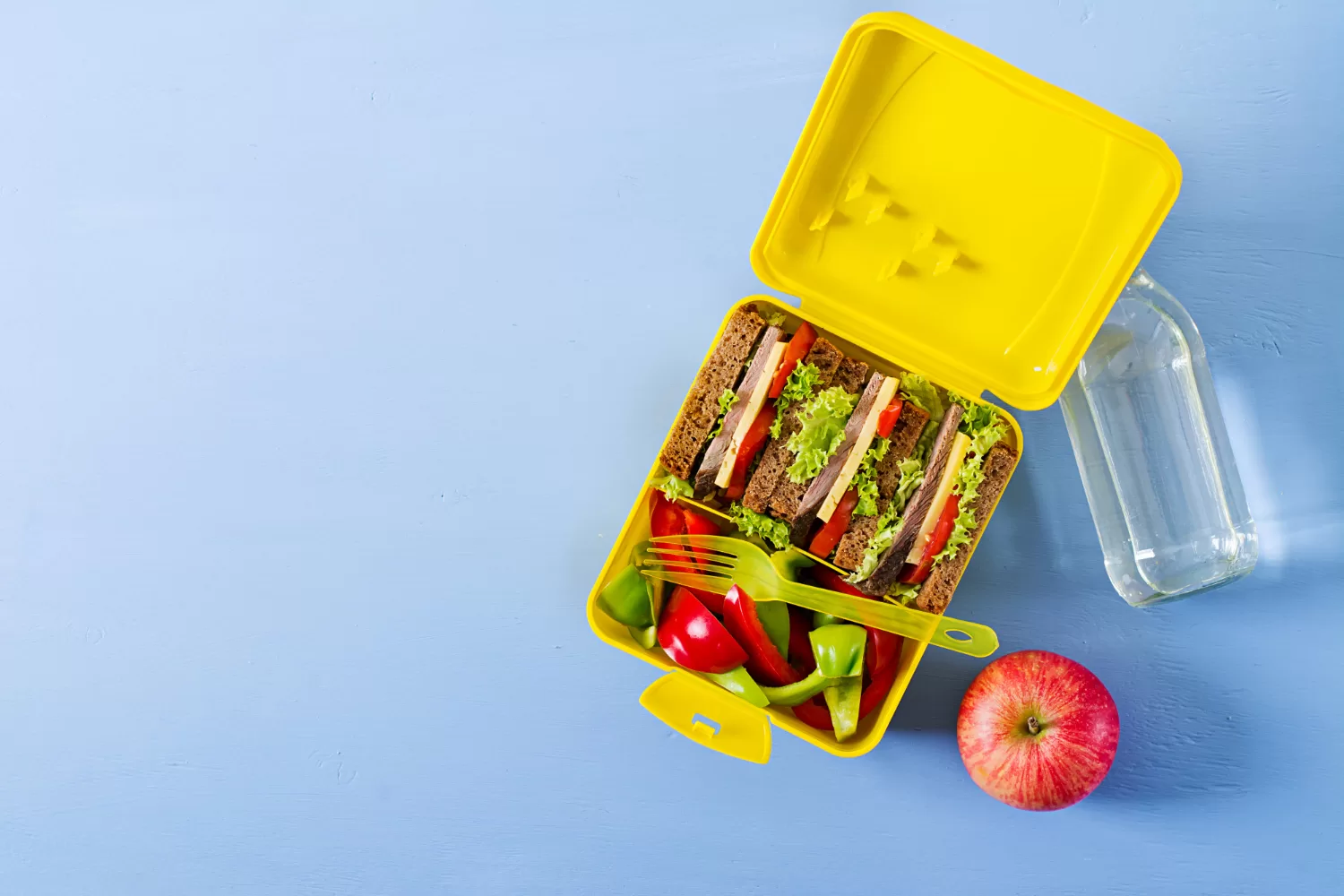 school lunch box